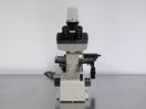Nikon TMS-F Inverted Phase Contrast Microscope
