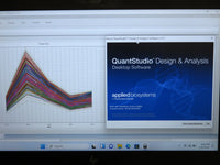 Applied Biosystems QuantStudio 5 Real-Time PCR System w/ 96-Well Sample Block thumbnail 3