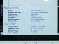 Biorad ChemiDoc Touch Imaging System thumbnail 10