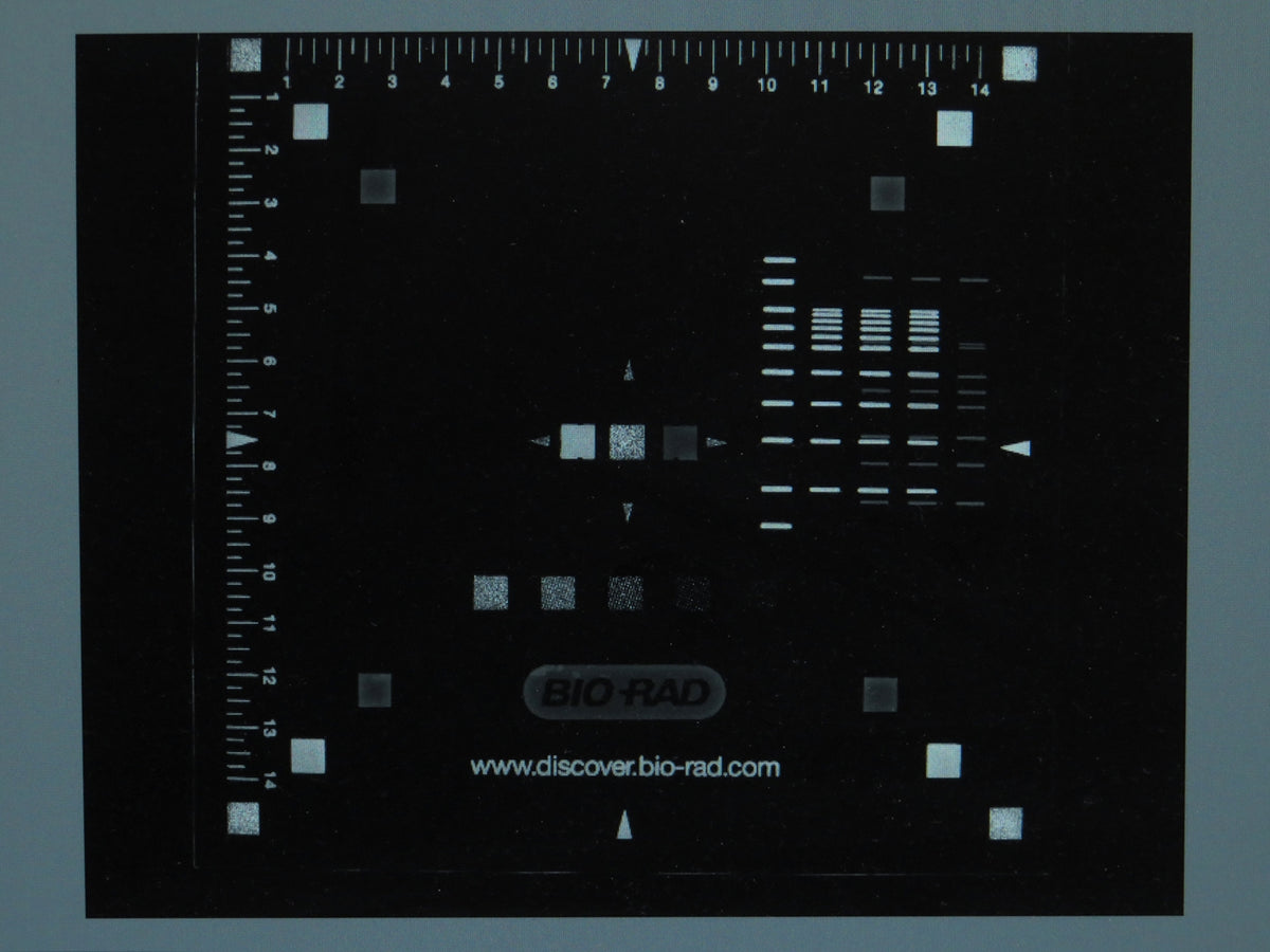 Biorad ChemiDoc Touch Imaging System