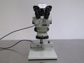 Carton SPZV-50 Stereo Microscope