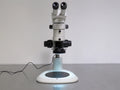Nikon SMZ800 Stereo Microscope