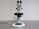 Nikon SMZ800 Stereo Microscope