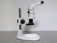 Nikon SMZ800 Stereo Microscope thumbnail 7