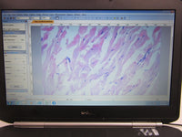 Nikon TMS Inverted Phase Contrast Microscope w/ Computer & Imaging Software thumbnail 3