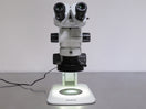 Olympus SZX7 Stereo Microscope