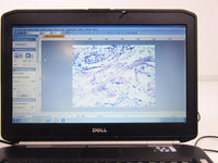 Olympus CK2 Phase Contrast Microscope w/ Computer & Imaging Software thumbnail 6