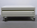 ThermoFisher Scientific Trolley